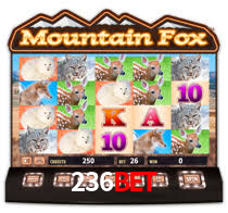 236bet - O Cassino Mais Exclusivo Do Brasil - 236bet.com